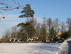 Троекуровское кладбище.JPG