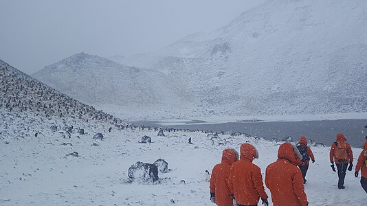 Crater lake, Paulet Island, 2019 in Antarctica. Kratersee mit Pinguinen, Vulkaninsel an Spitze der Antarktischen Halbinsel.