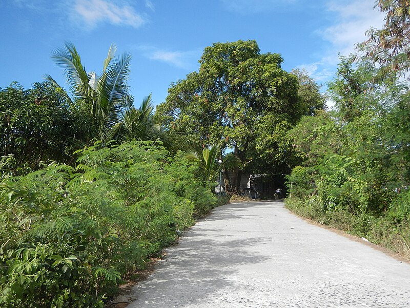 File:0977jfSulivan Roads Rice Fields San Jose San Luis Pampangafvf 18.JPG