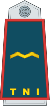 11-TNI Air Force-WO.svg
