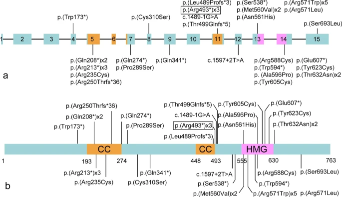 File:12920 2023 1448 Fig3 HTML.webp