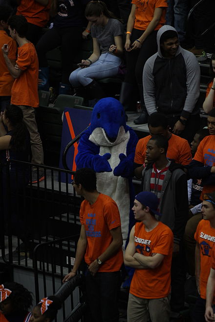 Dolphin mascot at the Chicago Public High School League championship basketball game, 2014.