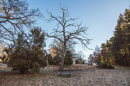 2016 01 14 Breitinger Schoenrain 053