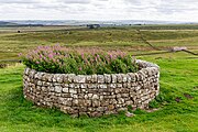 A view of Housesteads Roman Fort along Hadrian's Wall in the United Kingdom.