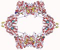 Thumbnail for Ribonucleotide reductase