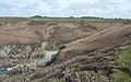 Le GR 34 à l'ouest de la Pointe de Luguénez traversant un paysage de landes.