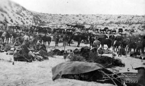 8th Light Horse at Romani