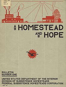 A Homestead and Hope.jpg