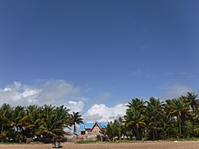 Tall, tropical coconut trees envelop a beachfront, pink and blue rental house (4/13/2016) A Rental Beach House on the Shore of Mayaro Beach, Trinidad and Tobago.jpg