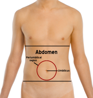 Abdomen Part of the body between the chest and pelvis