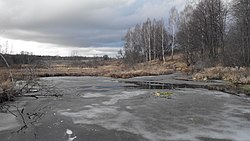 Верховья реки Нюньга