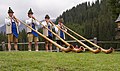 Cuarteto de cuernos alpinos en 2014.