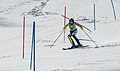 * Nomination Ana Bucik (SLN), Women's Slalom, Grandvalira 2023. --Tournasol7 04:55, 28 April 2023 (UTC) * Promotion  Support Good quality. --Rjcastillo 05:36, 28 April 2023 (UTC)