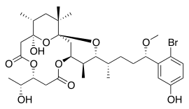 Structure of aplysiatoxin