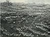 Armed constabulary field force at parihaka.jpg