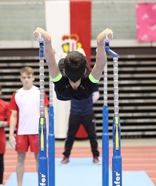 File:Austrian Future Cup 2018-11-23 Training Afternoon Parallel bars (Martin Rulsch) 0379.jpg