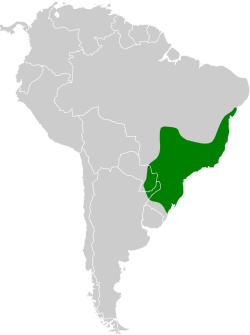 Distribución geográfica del ticotico ojibanco.