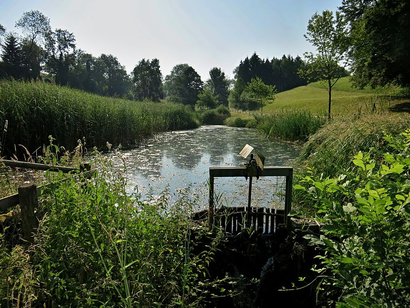 File:Büchi Weiher.JPG