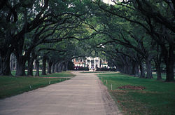 The Avenue of Oaks BOONE HALL PLANTATION.jpg