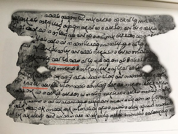 Bactrian document in the Greek script from the 4th century mentioning the word Afghan (αβγανανο): "To Ormuzd Bunukan from Bredag Watanan, the chief of