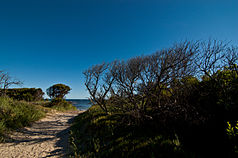 The Bakers Beach area