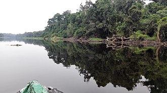 Nyong et So'o River From Ebogo Balade sur le Nyong, Site ecotouristique d'Ebogo, Cameroun.jpg