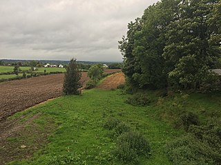 <span class="mw-page-title-main">Ballygowan Halt railway station</span>