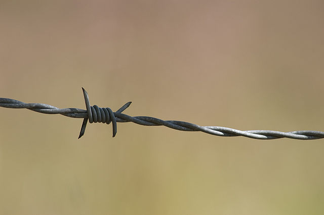 Fotografía Macro De Una Malla Metálica Fina Utilizada Para La