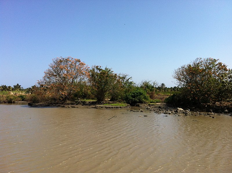 File:Barranquilla - Río Magdalena - panoramio (27).jpg