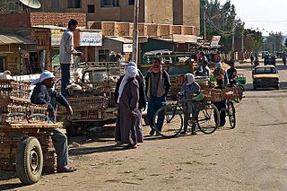 Bahariya Oasis Place in Giza Governorate, Egypt