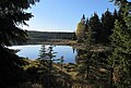 Čeština: Bedřichovská přehrada nedaleko Bedřichova v Jizerských horách, okres Jablonec nad Nisou - ČR English: Bedřichov Reservoir near Bedřichov in Jizera Mountains, Jablonec nad Nisou District in Czech Republic