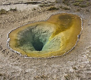 <span class="mw-page-title-main">Belgian Pool</span> Hot spring in Yellowstone National Park