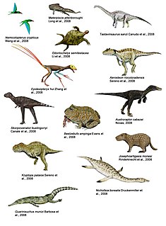 2008 in paleontology Overview of the events of 2008 in paleontology