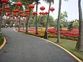 Binhai park 2016.