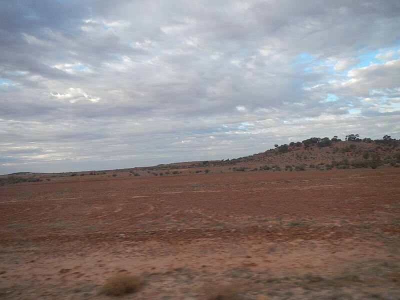 File:Birdsville Developmental Road - panoramio.jpg