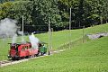 Talwärts fahrender Zug bestehend aus G 2/2 4 der Ferrovie Padane (FP) und Personenwagen C4 7 der Nyon–Saint-Cergue–Morez-Bahn (NStCM) zwischen der Haltestelle Cornaux und dem Eingang des Cornaux Tunnels, 2010