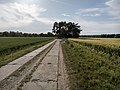 Bodden Landscape, Ribnitz-Damgarten (LRM 20200529 182123-hdr).jpg