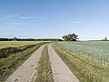 Bodden Landscape, Ribnitz-Damgarten (LRM 20200529 182318-hdr).jpg