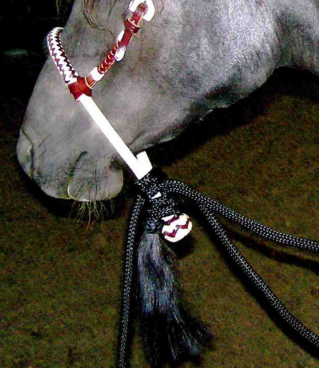 Western Mecate Reins Bosal/Hackamore Reins