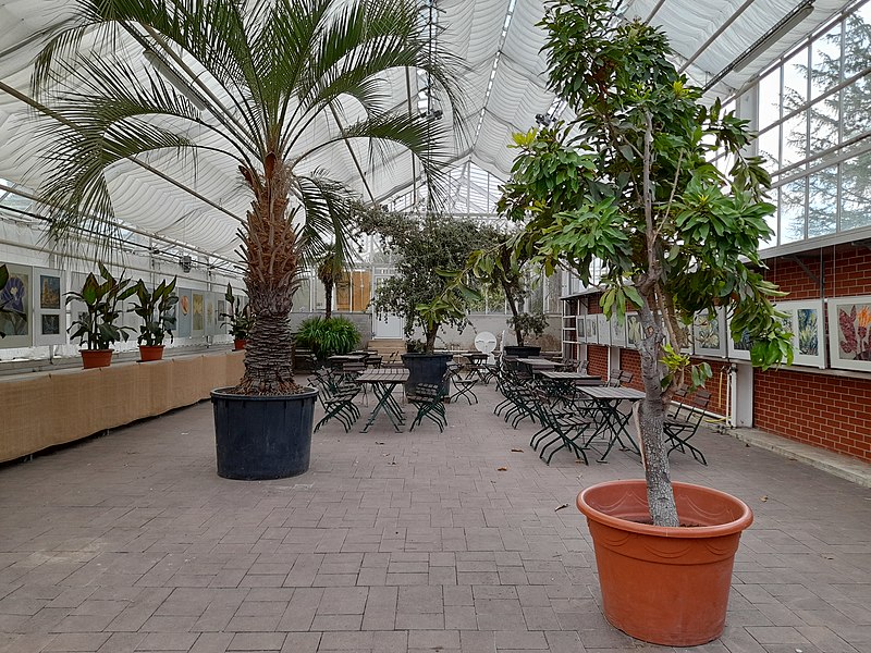 File:BotanicalGarden Halle, Großes Kalthaus 01 Ausstellung.jpg