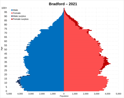 Demographics of Bradford