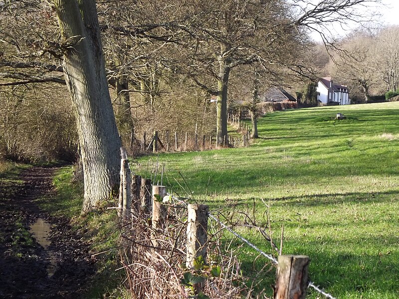 File:Bridleway South of Middle Copse - geograph.org.uk - 2758353.jpg