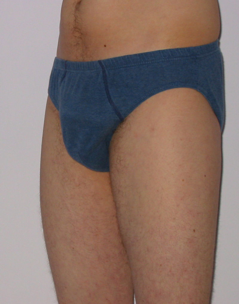 men's underwear - Wikidata