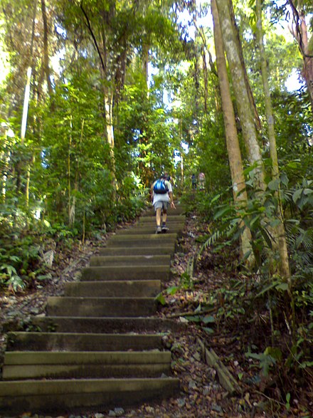 Bukit Timah, Stairs to the summit