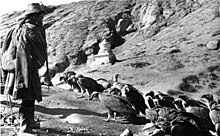 1938 photo of sky burial from the Bundesarchiv Bundesarchiv Bild 135-S-12-50-06, Tibetexpedition, Ragyapa, Geier.jpg