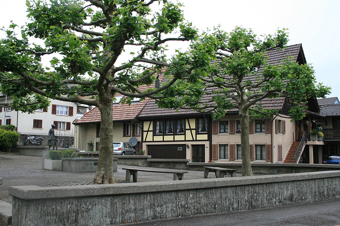 Burg i Aargau