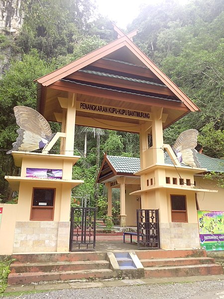 File:Butterfly Breeding Ground of Bantimurung.jpg