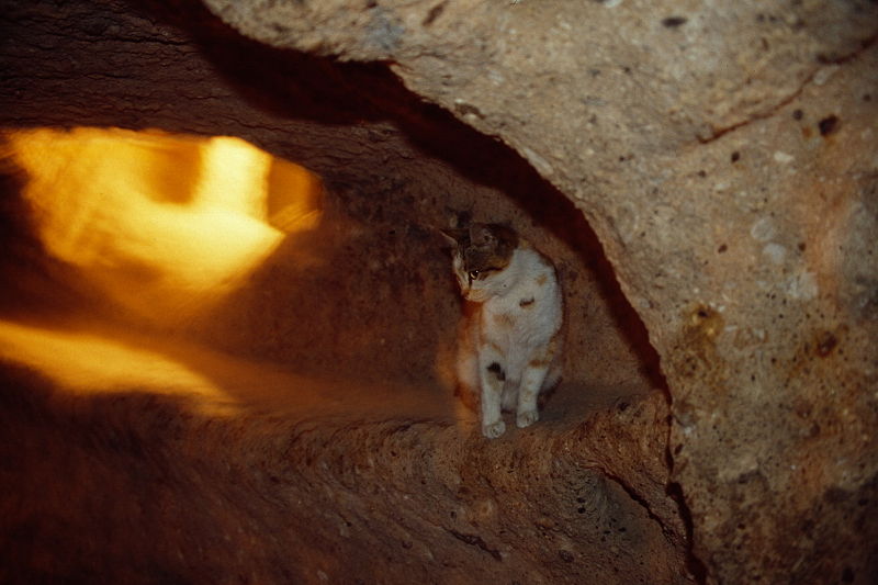 File:Cappadocia 097 n.jpg