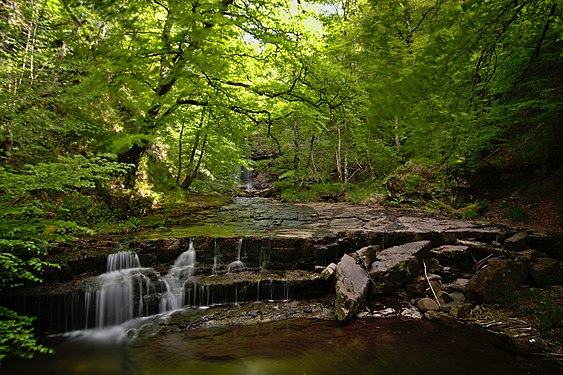 Waterfalls in Argoza River Photograph: Mbtirado