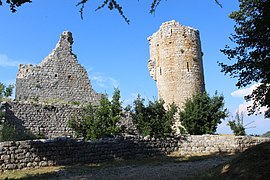 Les remparts et le donjon.